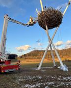 Feuerwehreinsatz am Vogelnest.