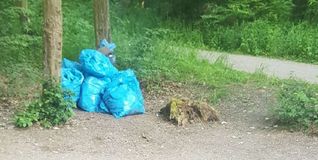 Müllsäcke im Wald: Leider keine Ausnahme.