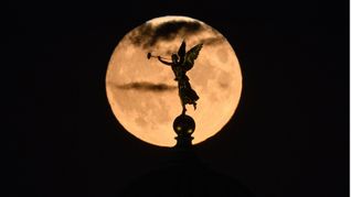 Der Mond geht am Abend hinter der Kuppel der Akademie der Bildenden Künste in Dresden mit dem Engel „Fama“ auf. Im Mai 2026 ist gleich zweimal ein Vollmond zu sehen.