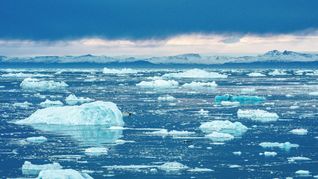 Besonders dramatisch wäre die Situation, sollte dieses Strömungssystem im Atlantischen Ozean, zu dem auch der Golfstrom gehört, komplett zusammenbrechen.