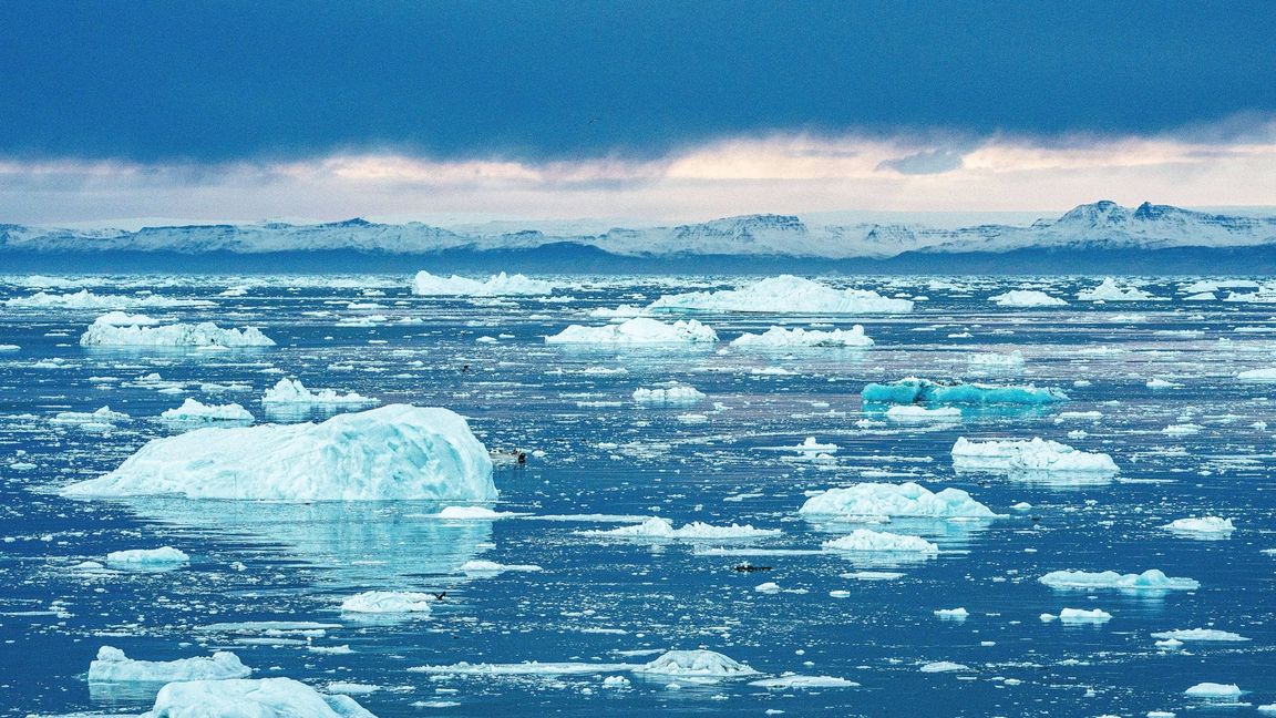 Besonders dramatisch wäre die Situation, sollte dieses Strömungssystem im Atlantischen Ozean, zu dem auch der Golfstrom gehört, komplett zusammenbrechen.