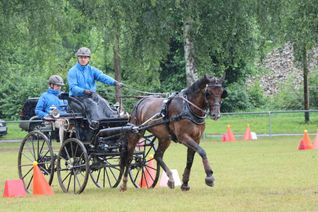 Jens Motteler und Beifahrerin Sabrina Kiefer waren in Ottenheim eine Klasse für sich und holten die Goldmedaille nach Gärtringen.Bild: Häusler