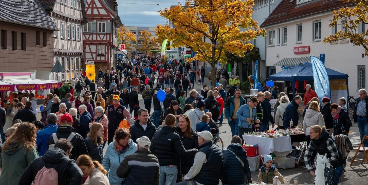 Der Holzgerlinger Herbst im vergangenen Jahr. Bild: Nüssle/A