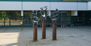 An der Realschule Hinterweil gibt es ab 17 Uhr Musik.