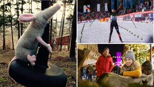 Spaß, Sport und Entspannung: Ausflugsziele und Winterzauber im Januar.