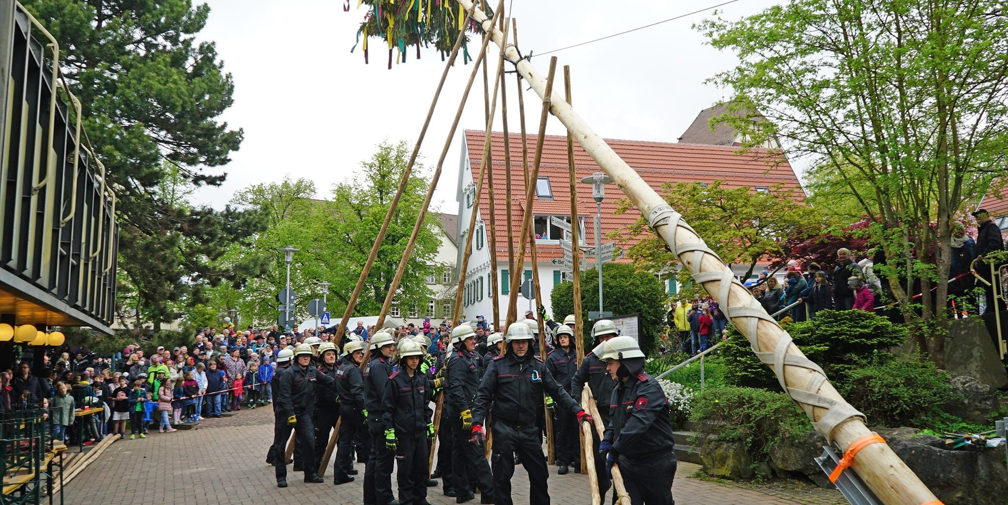 Die Maichinger Feuerwehr stellt den Maibaum auf. 	Bild: Heiden/Archiv