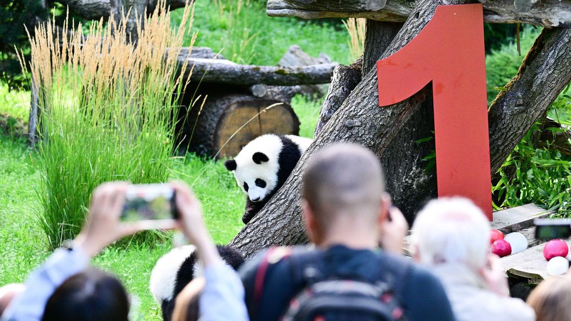 Die Geburt der beiden war ein seltenes Ereignis.