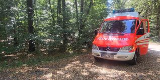 Der Waldweg ist bereits mit Laub bedeckt – mitten im Sommer wirkt der Sindelfinger Wald stellenweise wie im Herbst.