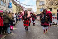 Hexen, Bären, Funkenmariechen: Beim Böblinger Rosenmontagsumzug haben Tausende gefeiert