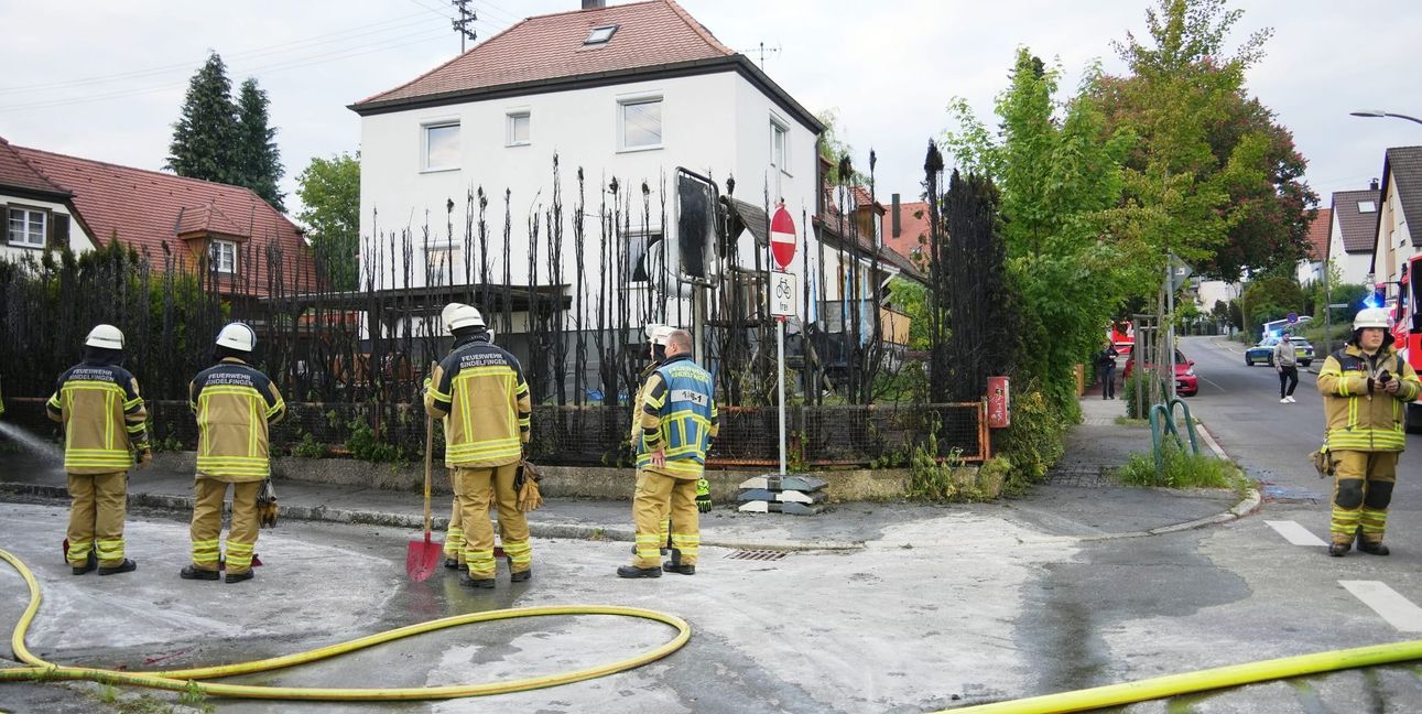 Von der Hecke war nach dem Brand nichts mehr übrig.