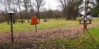 Amsel, Fink und Meise zieht es zur Futterglocke. 	Wenn Futter drin ist.