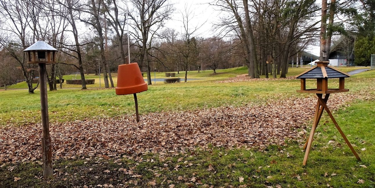 Amsel, Fink und Meise zieht es zur Futterglocke. 	Wenn Futter drin ist.