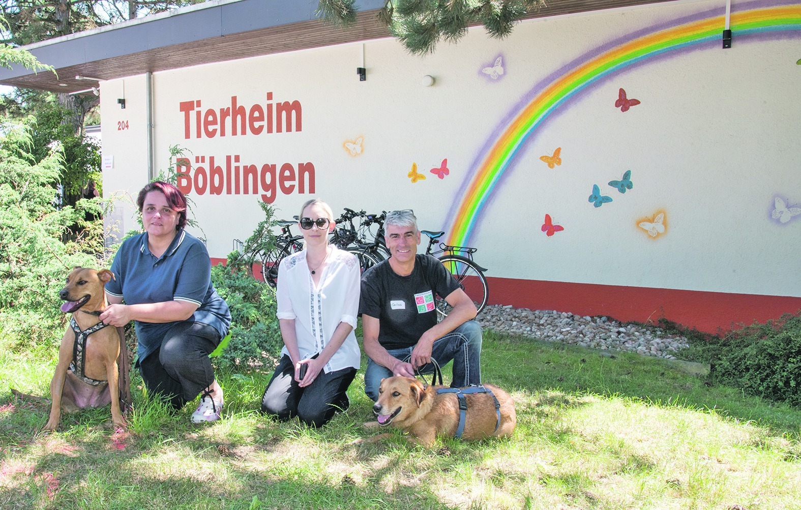 Mischling Ella (links) und Josi (rechts) sind nur zwei von vielen Hunden, die beim Sommerfest im Tierheim vorgestellt wurden. „Sie suchen, wie viele andere Tiere, ein neues Zuhause“, sagt Tierheimleiterin Annette Lehmann, neben ihr die stellvertretende Vorsitzende Anna Faix und der Vorsitzende Carlos Branco (von links). Bild: Nüßle