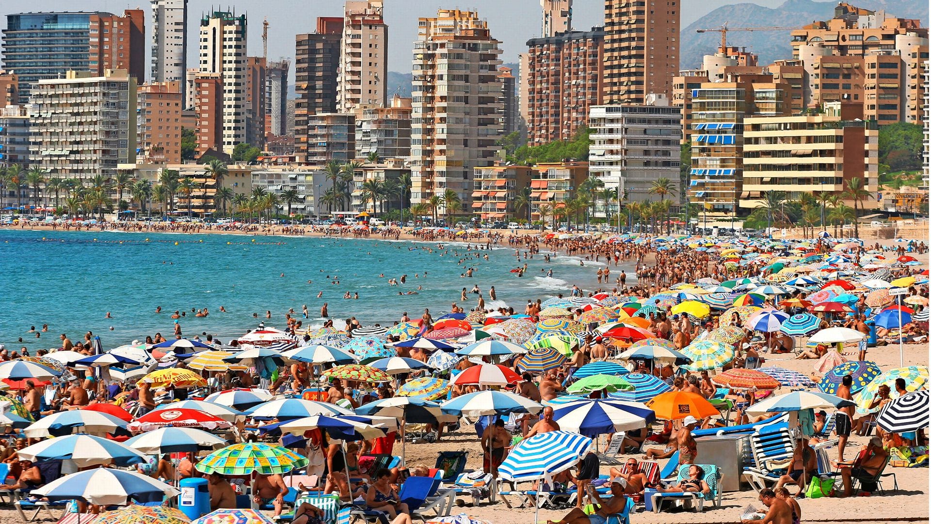 Der Strand von Benidorm wird in dieser Saison wohl Europas vollster sein.
