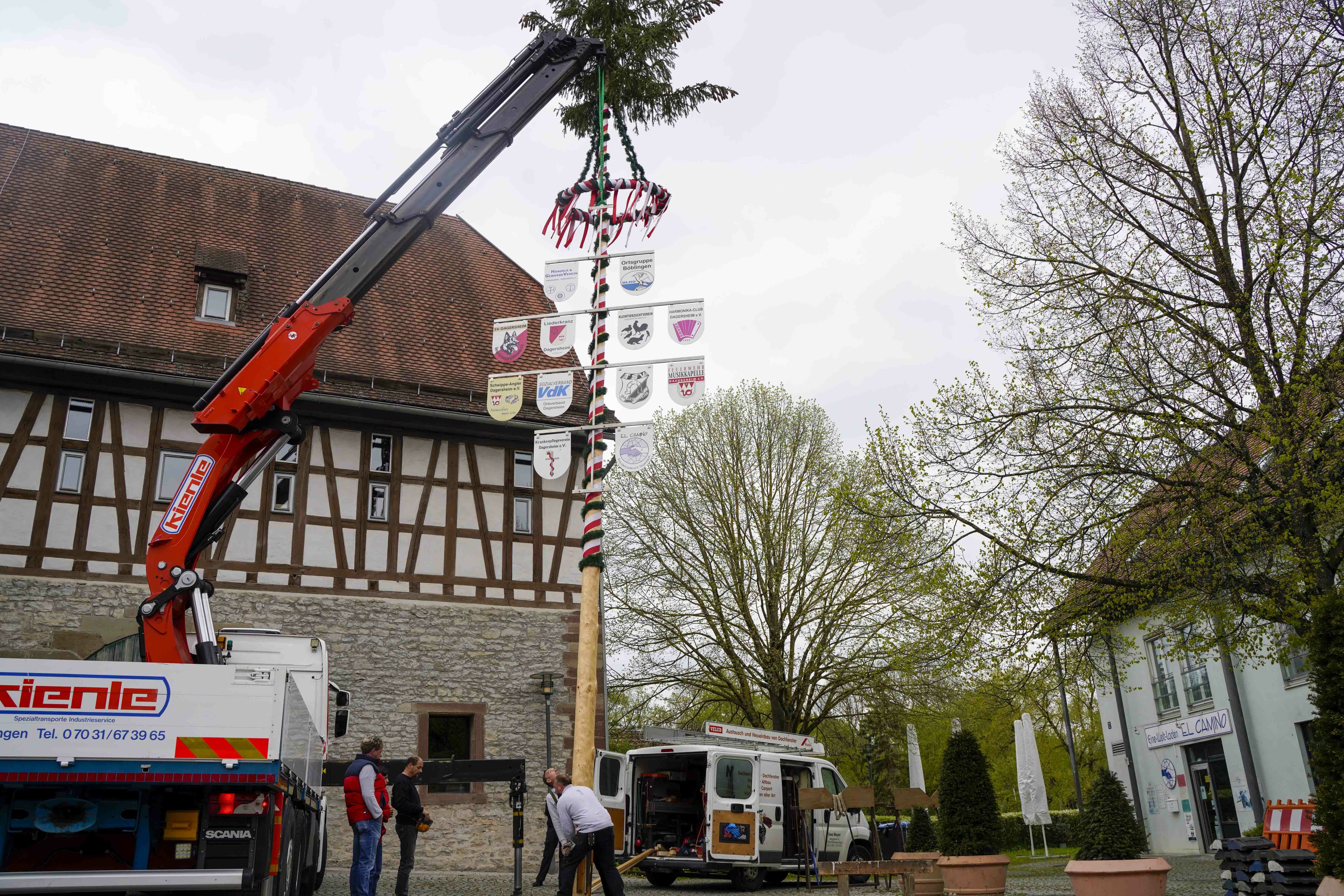 Für das Aufstellen der gut 17 Meter großen Fichte aus dem Schönaicher Gemeindewald waren Uwe Mayer, dessen Sohn Moritz und Jochen Kienle zuständig.   Bild: Dettenmeyer