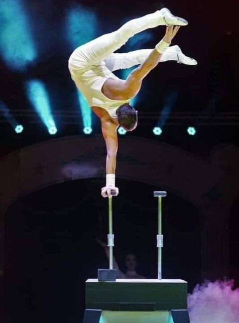 Spektakuläre Akrobatik im Herrenberger Weihnachtscircus. Bild: Alexander Leumann