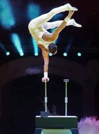 Spektakuläre Akrobatik im Herrenberger Weihnachtscircus. Bild: Alexander Leumann