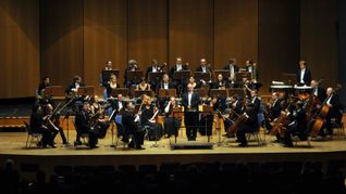 Unter der Leitung von Dirigent Prof. Albrecht Holder erklingen am Sonntag in der Sindelfinger Stadthalle Kompositionen skandinavischer Komponisten.