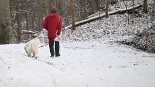 Der Winter bleibt um den Jahreswechsel unbeständig. (Archivbild)