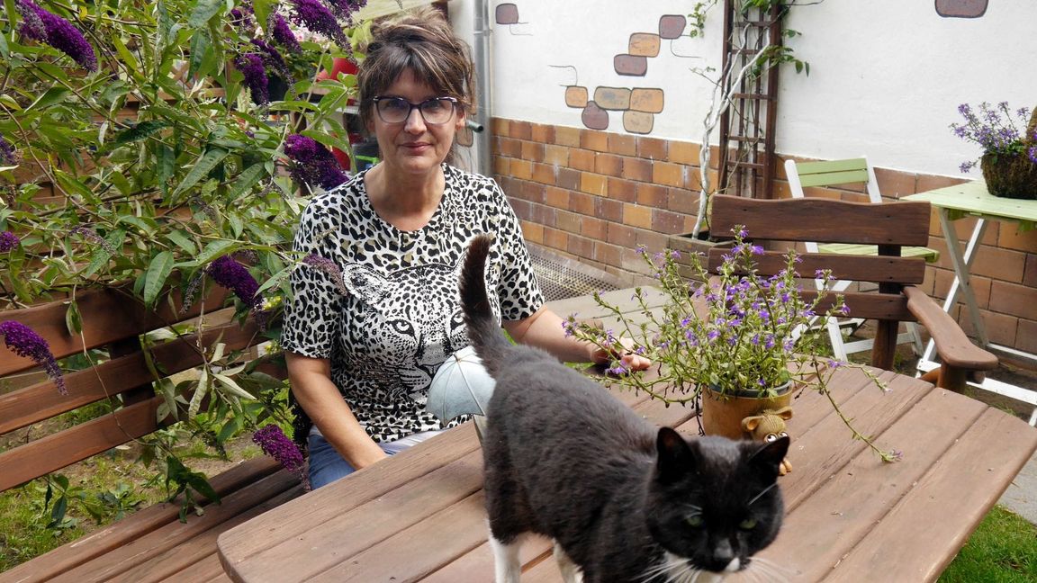 Manuela Jeschke hat das "Katzenparadies" privat gegründet.