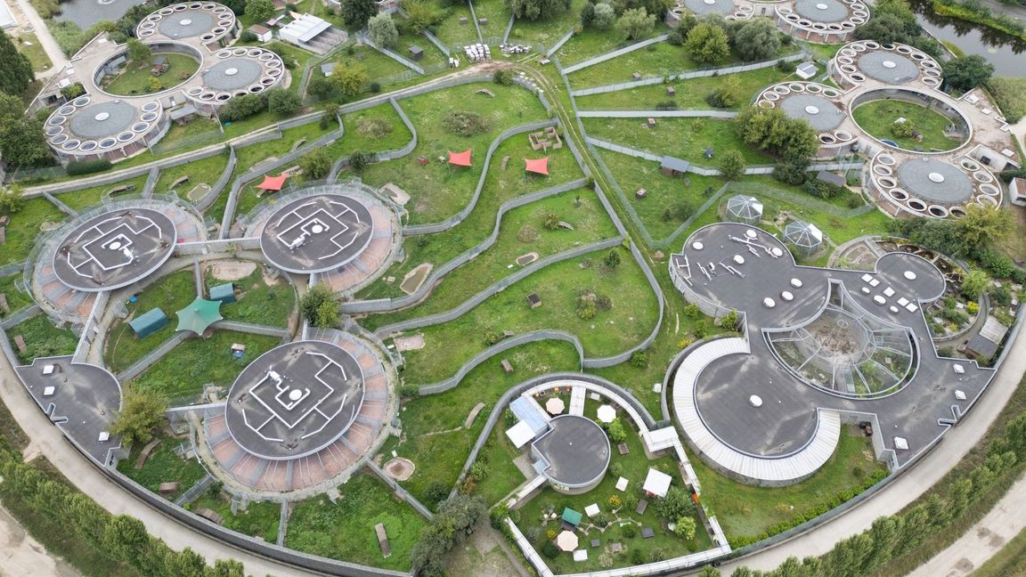 Das Tierheim Berlin. (Aufnahme mit einer Drohne/Archivbild)