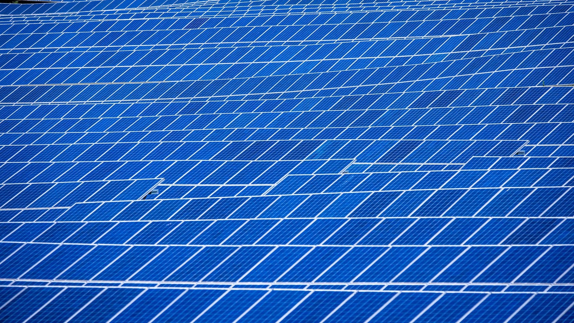 Bei den Modulen abhängig von China, im Inland Probleme mit den Stromnetzen - der Solarboom hat seine Schattenseiten.
