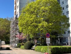 Aktuell wird das Hochhaus saniert.