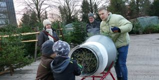 Am Samstag kann man bei der Landschaftsgärtnerei Walker Weihnachtsbäume für einen guten Zweck kaufen. Bild: Lück