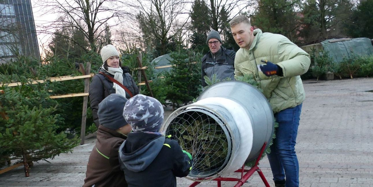 Am Samstag  kann man bei der Landschaftsgärtnerei Walker Weihnachtsbäume für einen guten Zweck  kaufen. 	Bild: Lück