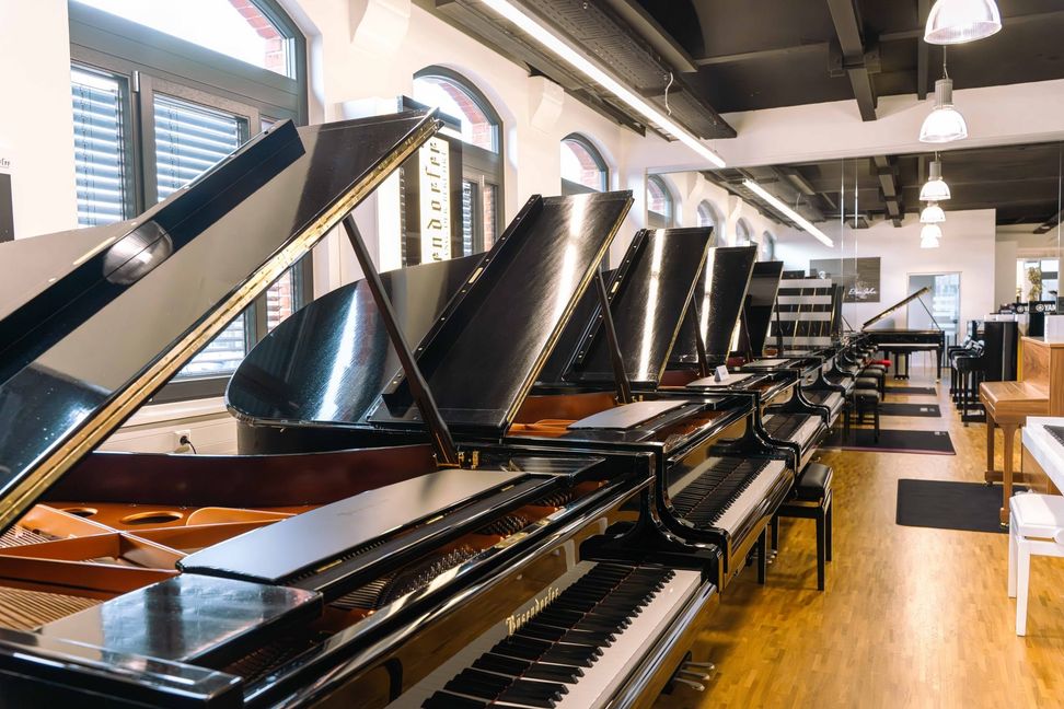 Ein Flügel reiht sich an den nächsten.