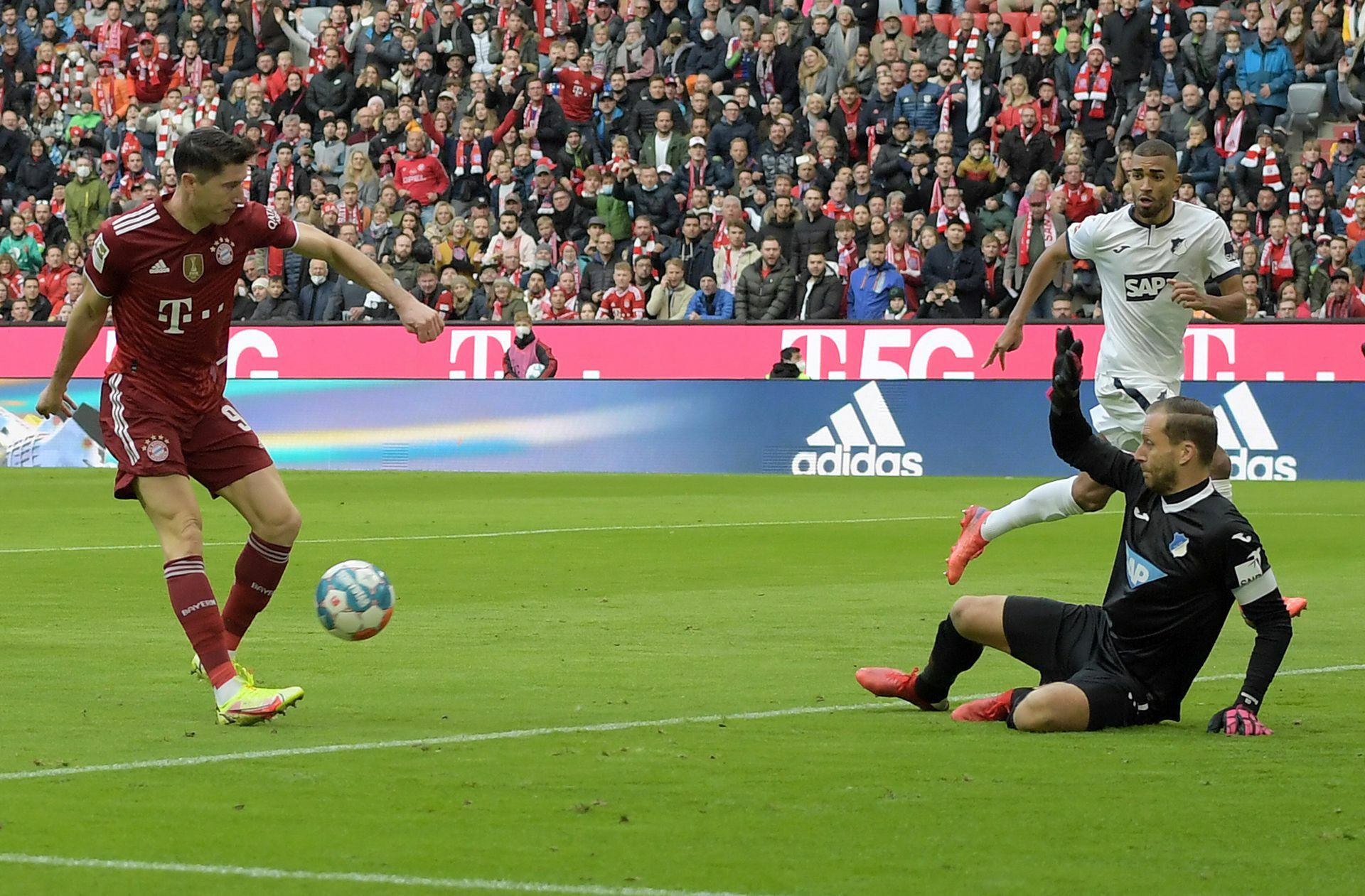 Robert Lewandowski hat in bisher 18 Partien gegen den Torhüter Oliver Baumann bereits 20 Tore erzielt.
 Foto: imago images/Jan Huebner..