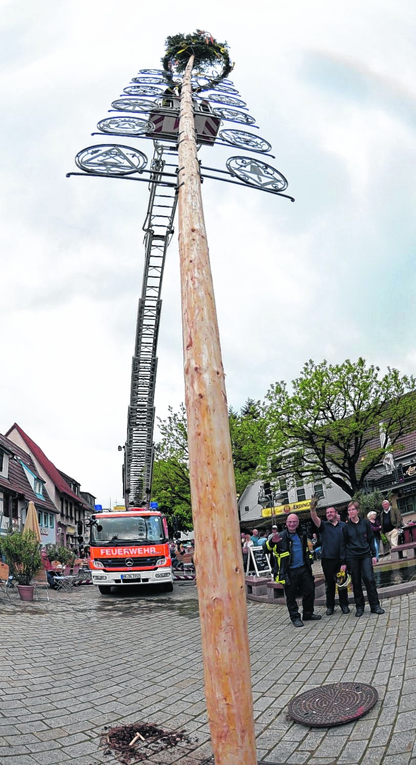 Maibaum auf dem Wettbachplatz in Sindelfingen: Die Freiwillige Feuerwehr mit Rainer und Roland Just, Sven und Wolfgang Petelik, Roman Dürr und Alina Kroschwald arbeitet mit der Drehleiter, Christian Hanisch von der Firma Arlt und Hanisch mit dem Kran, um den in der Zimmerei Held geschmückten Baum aufzustellen. Bilder: Stampe
