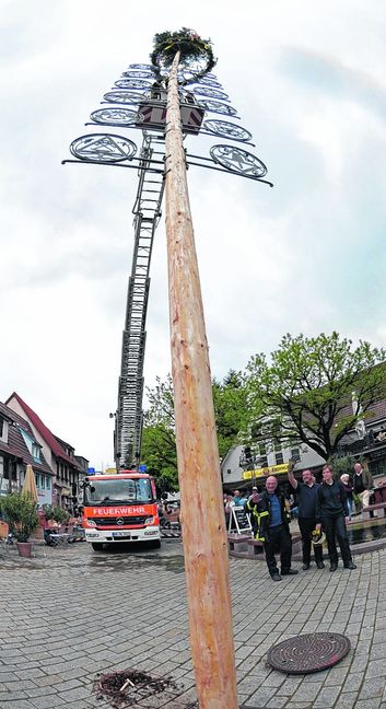 Maibaum auf dem Wettbachplatz in Sindelfingen: Die Freiwillige Feuerwehr mit Rainer und Roland Just, Sven und Wolfgang Petelik, Roman Dürr und Alina Kroschwald arbeitet mit der Drehleiter, Christian Hanisch von der Firma Arlt und Hanisch mit dem Kran, um den in der Zimmerei Held geschmückten Baum aufzustellen. Bilder: Stampe