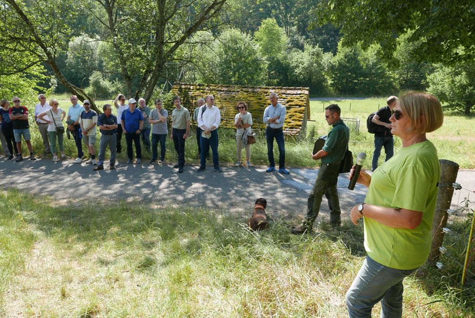 Barbara Rommel zeigt den Gemeinderäten die besonderen Kalkmagerrasen-Flächen im Löchle. Bild: Jung