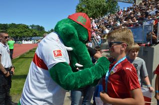 Bild: Wegner