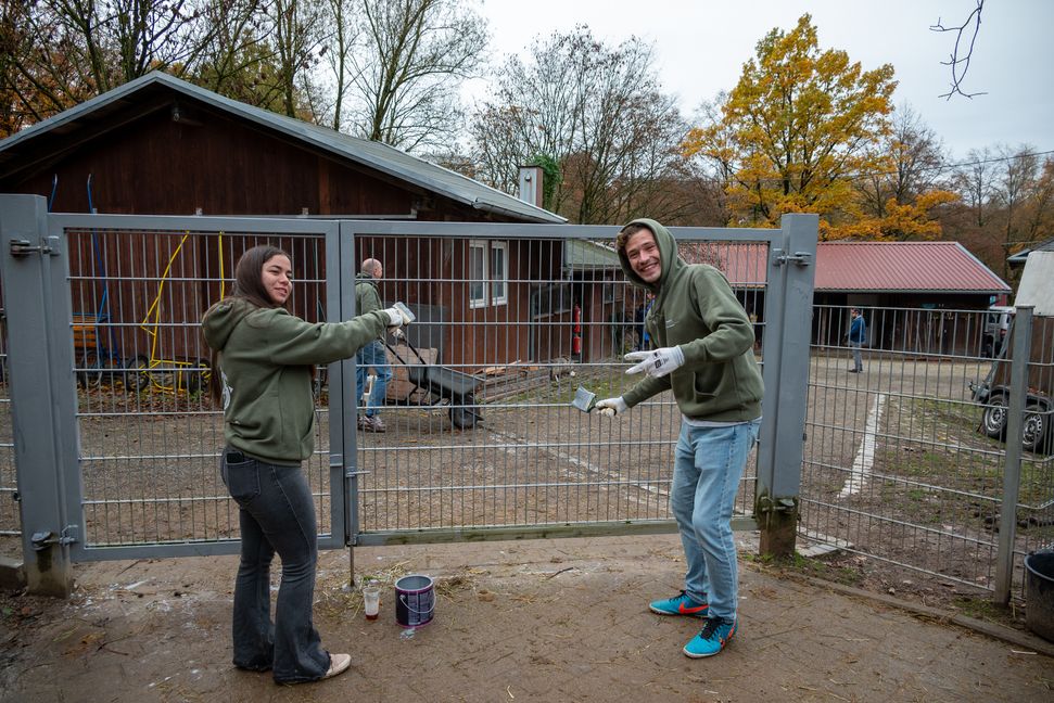 Andrea Hernandez und Francois Becou aus München sorgen für einen neuen Anstrich bei den Eseln. bild: Nüßle