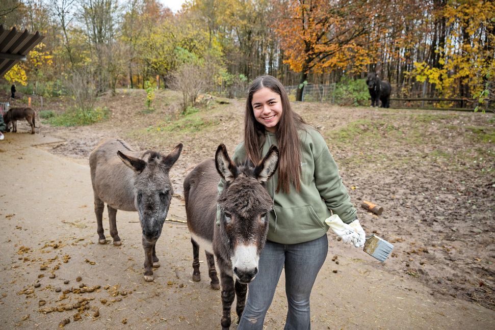 Streicheleinheiten müssen zwischendurch auch sein. andreas Hernandez findet die Jugendfarm-Esel einfach toll. Bild: Nüßle