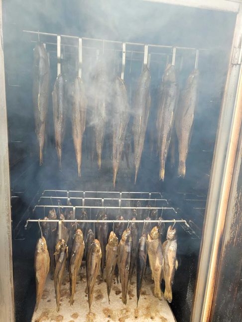 Am Tag danach wurde die gefangenen Fische geräuchert. Bild: z