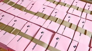 Im Statistischen Amt der Landeshauptstadt Stuttgart wird bereits die Wahl zum Landtag von Baden-Württemberg vorbereitet.