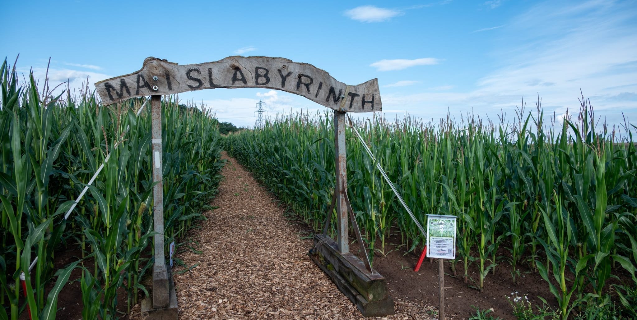 In diesem Sommer gibt es auf dem Hofgut Mauren kein Maislabyrinth.