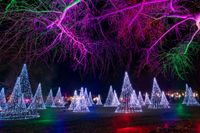 Tannenbäume die verschwinden und in unterschiedlichen Farben wieder auftauchen erinnern an die Weihnachtszeit.