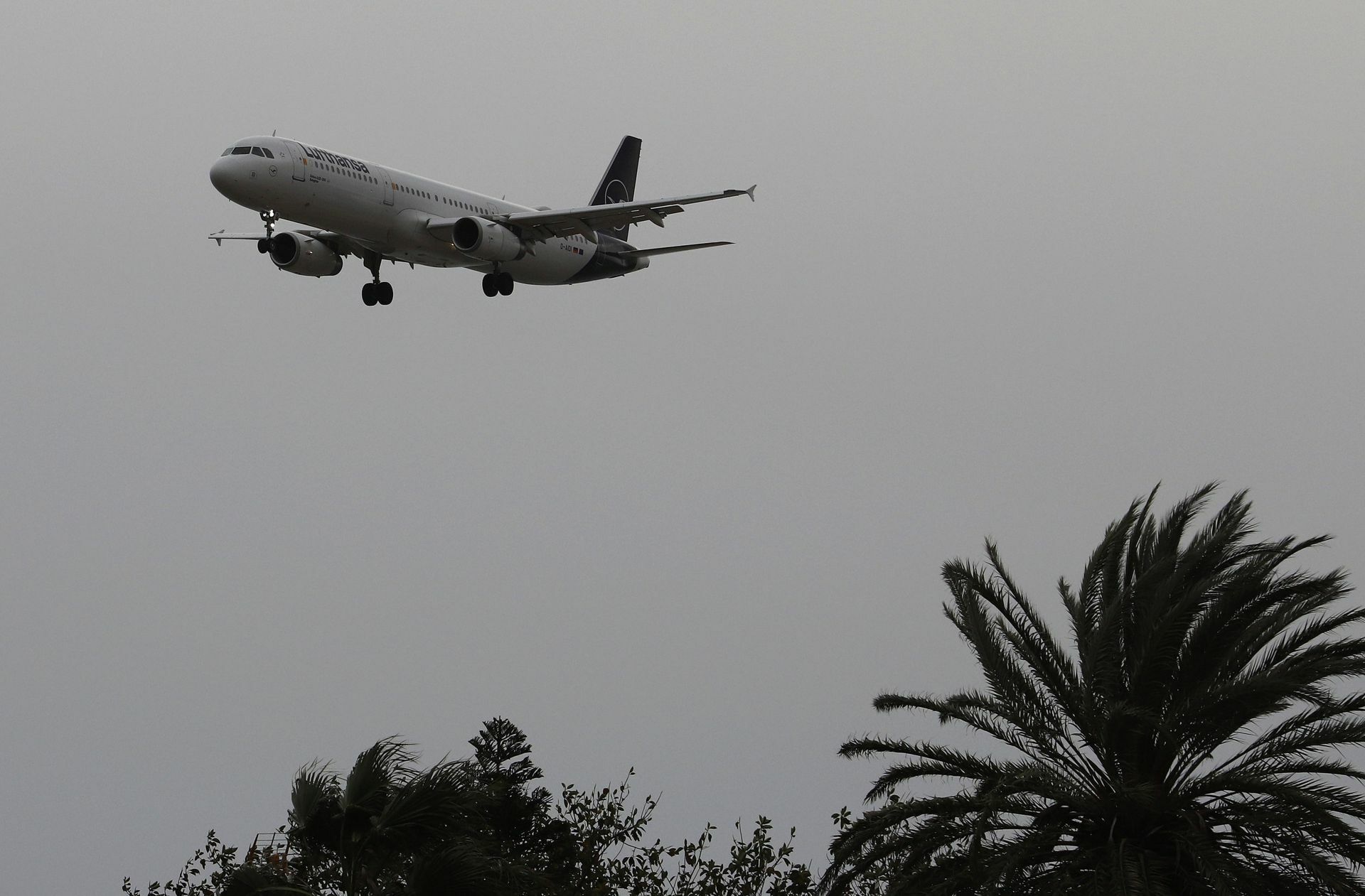 Schon bald sollen wieder mehr Lufthansa-Maschinen abheben.
 Foto: dpa/Clara Margais
