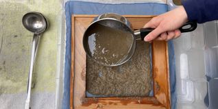 Das Deutsche Fleischermuseum auf dem Böblinger Marktplatz zeigt die Sonderausstellung „Fungi Future“, die sich der vielfältigen Welt der Pilze und ihrer Bedeutung auch für Kunst und Gesellschaft widmet. Zu sehen sind unter anderem Arbeiten der Künstlerin Barbara Ehnes. Am Samstag, 24. Januar findet von 13 bis 18 Uhr der Workshop „Pilzpapier und Pilzpapiersuppe“ statt, gestaltet vom „FKN_LAB für Kunst und Nachhaltigkeit der Freien Kunstakademie Nürtingen“.