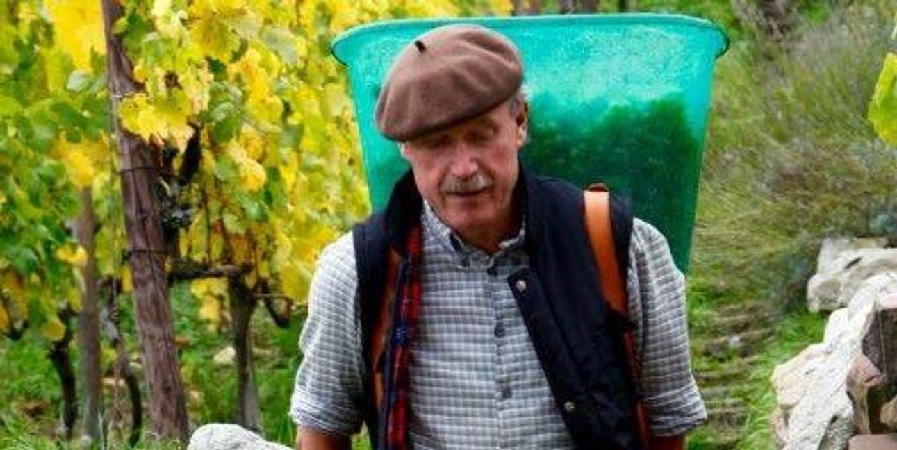Thomas Speer in seinem Weinberg.