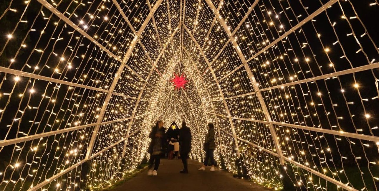 Lichterzauber in der Wilhelma: Der Christmas Garden schließt bald.
