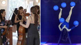 Ob auf der Musikbühne oder in der Zirkusmanege: Freiberufliche Künstlerinnen verdienen deutlich weniger als ihre männlichen Kollegen.