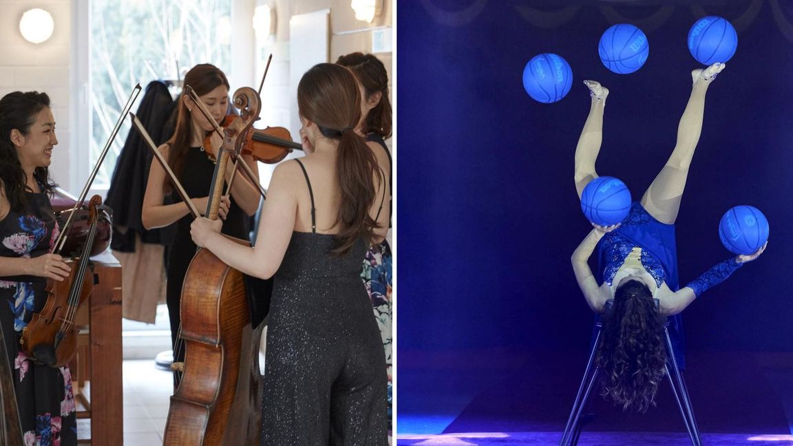 Ob auf der Musikbühne oder in der Zirkusmanege: Freiberufliche Künstlerinnen verdienen deutlich weniger als ihre männlichen Kollegen.