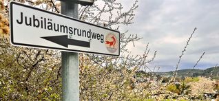 Entlang des Weges sind Schilder mit dem Jubiläumslogo Dachtels aufgestellt. Bild: z
