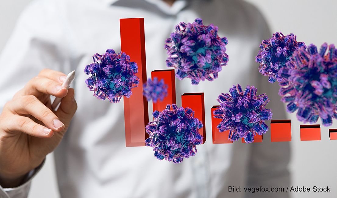 Bild: vegefox.com/Adobe Stock