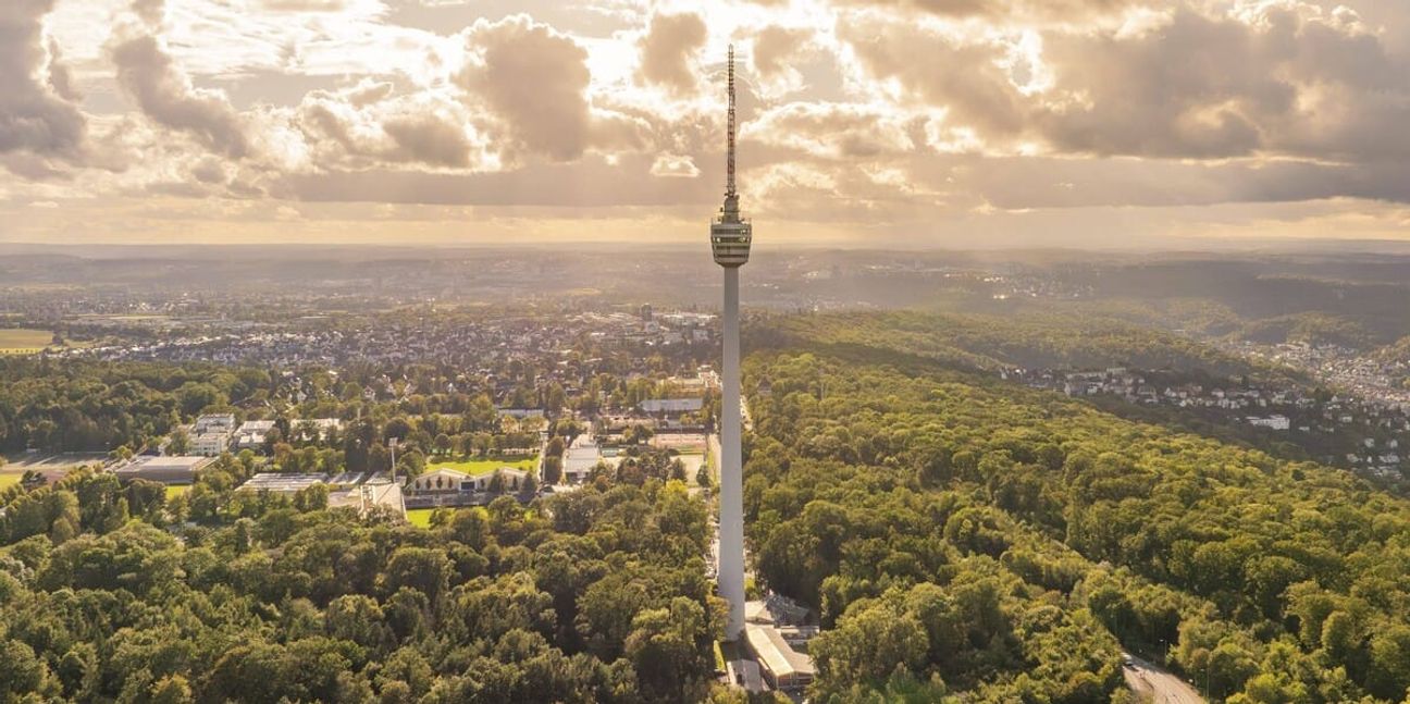Wem gehört der Wald unterhalb des Fernsehturms? Die Cruising-Szene fühlt sich dort unerwünscht – und geradezu bedroht.